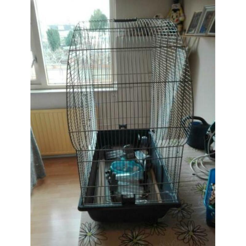 Vogelkooi met alles er bij