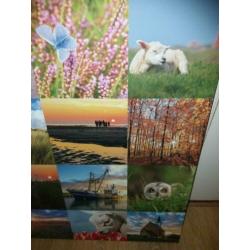 Foto collage Texel