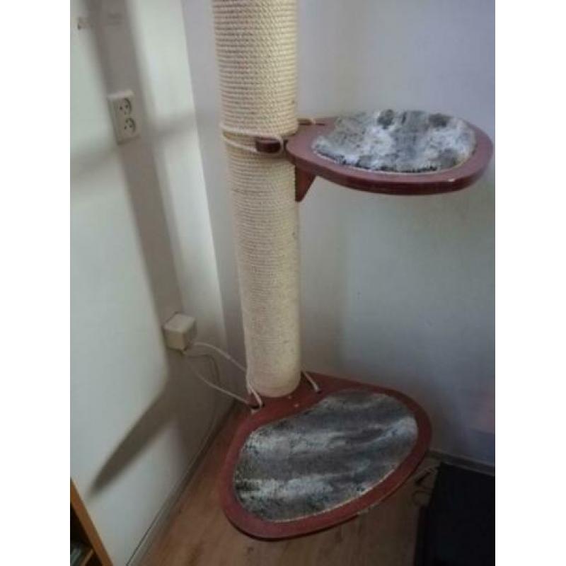 Katten klim/krabpaal tot aan plafond