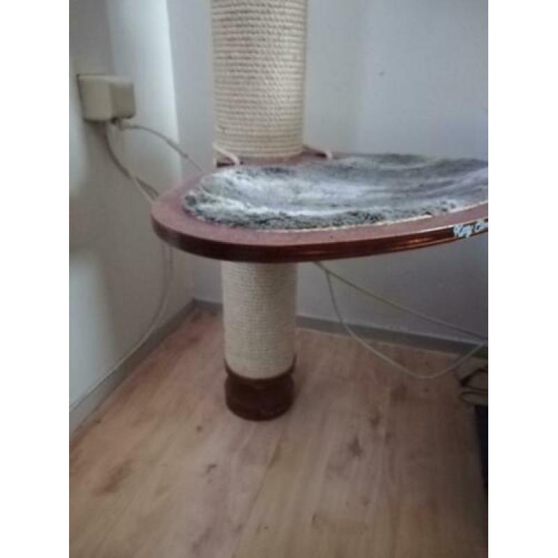 Katten klim/krabpaal tot aan plafond