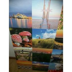 Foto collage Texel