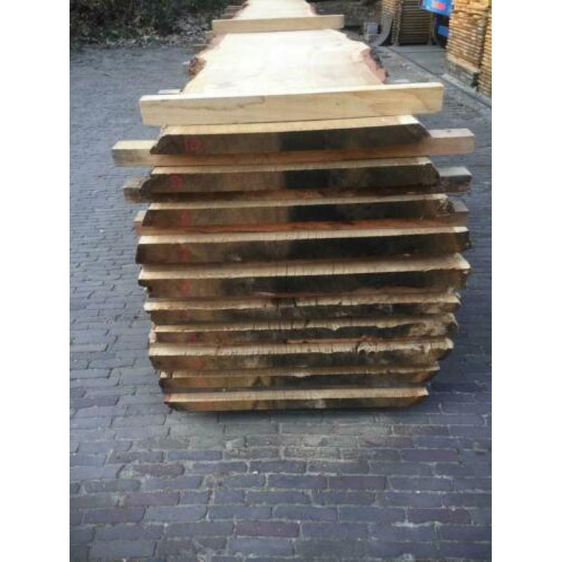 Eiken boomstambladen