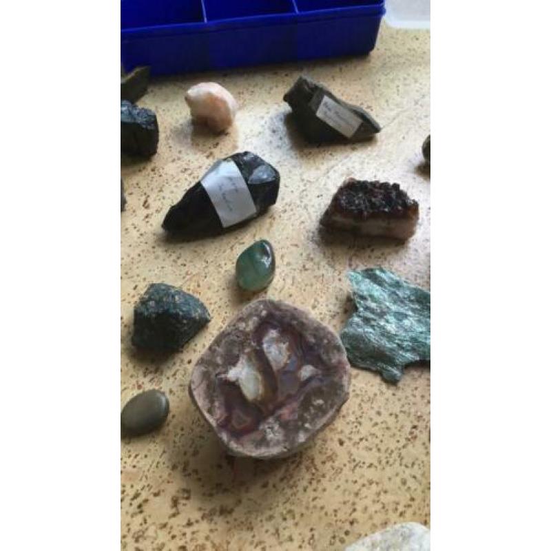 Verzameling mineralen, fossielen, edelstenen, schelpen,geode