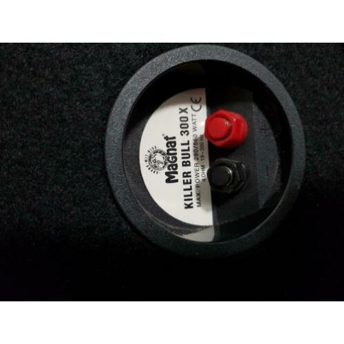 Subwoofer voor in de auto,300w