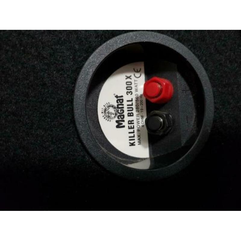 Subwoofer voor in de auto,300w