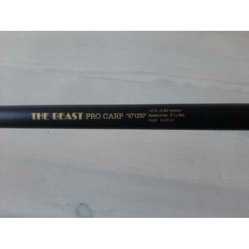 Werphengel karper carbon