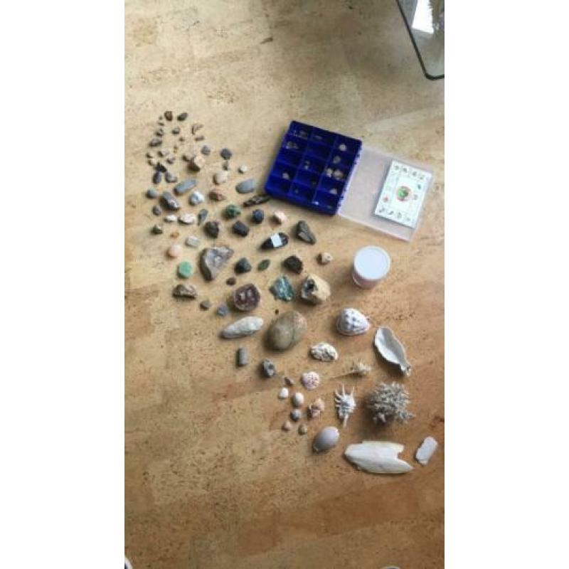 Verzameling mineralen, fossielen, edelstenen, schelpen,geode