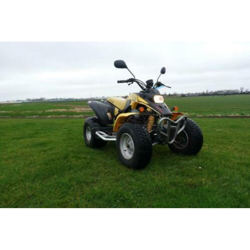 barossa Cheetah quad