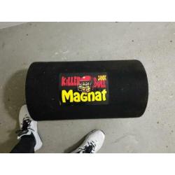 Subwoofer voor in de auto,300w