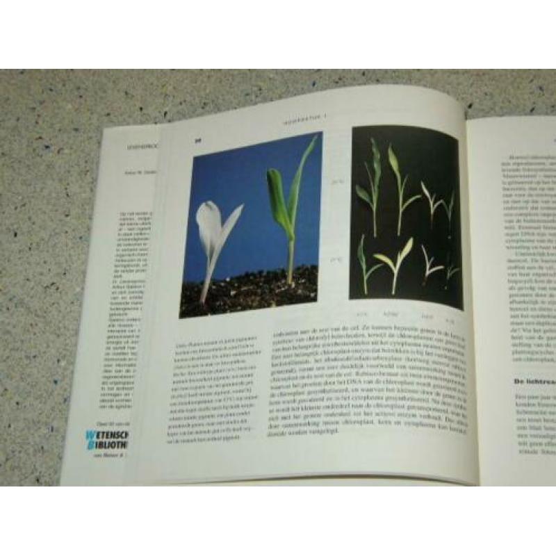 Levensprocessen van planten