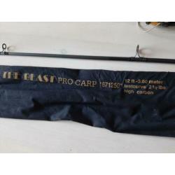 Werphengel karper carbon