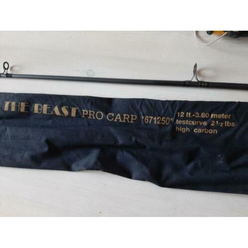 Werphengel karper carbon