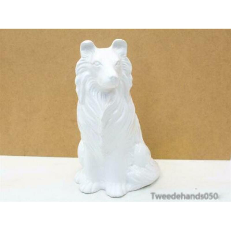Beeld Hond 86823