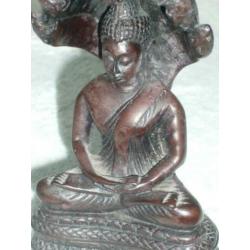 Saturdays Buddha Paang Naga Prok-Black.