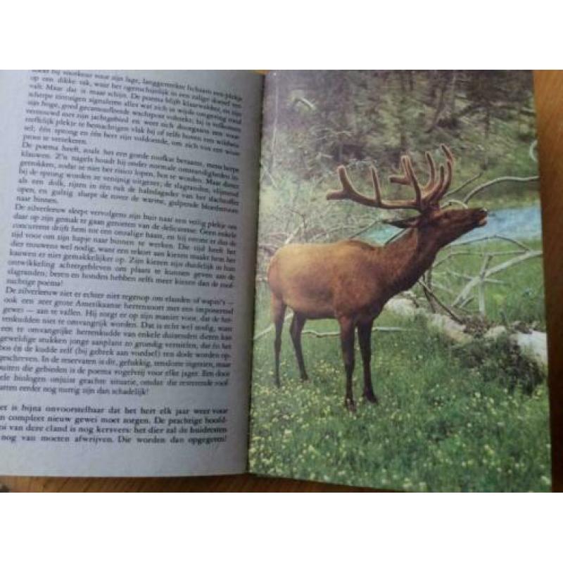 Walt Disney boekjes over de natuur 3 stuks