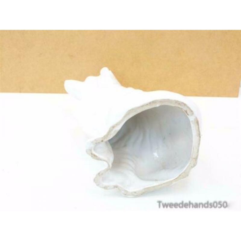 Beeld Hond 86823
