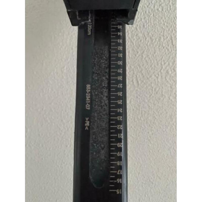 Thule dakdragers (853-2341-1)