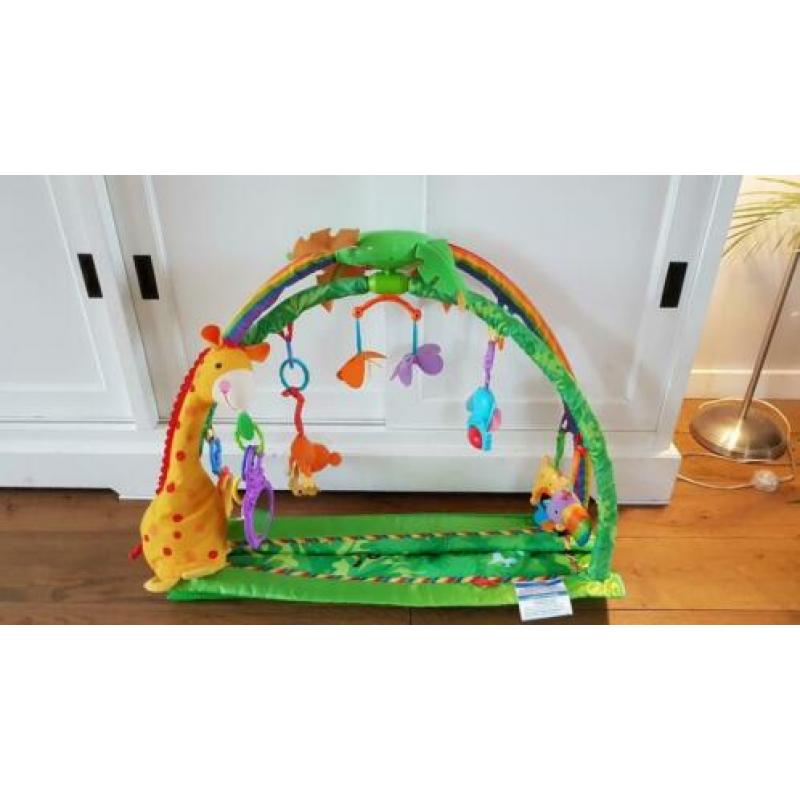Jungle babygym - in perfecte staat