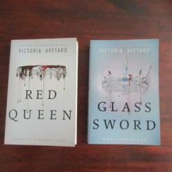 3 fantasy boeken kass morgan - The 100