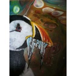 Schilderij "papagaaiduiker"
