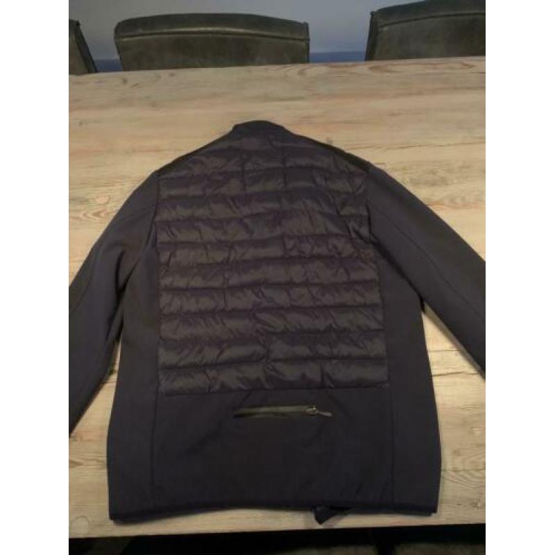 Parajumpers jas man