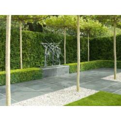 Mustang leisteen Black Slate tuintegels 100x100 cm