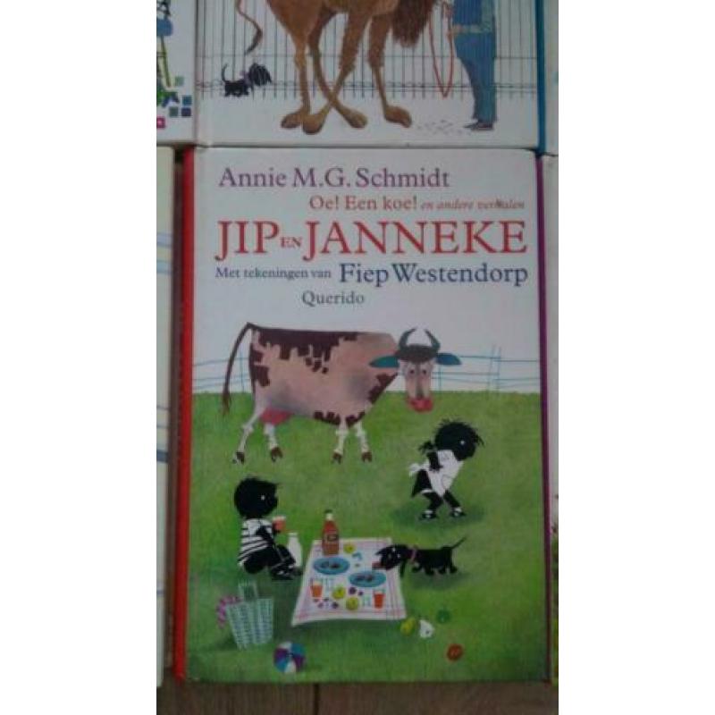 Jip en Janneke, Kameleon boeken