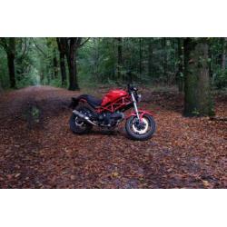 Ducati monster 695