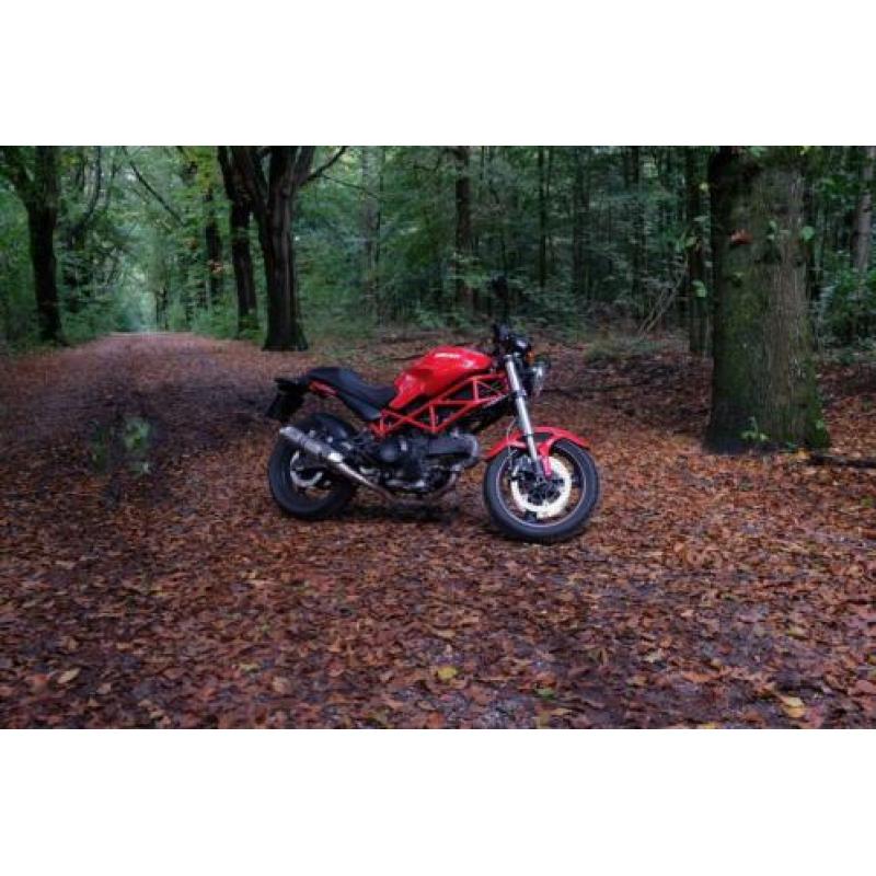 Ducati monster 695