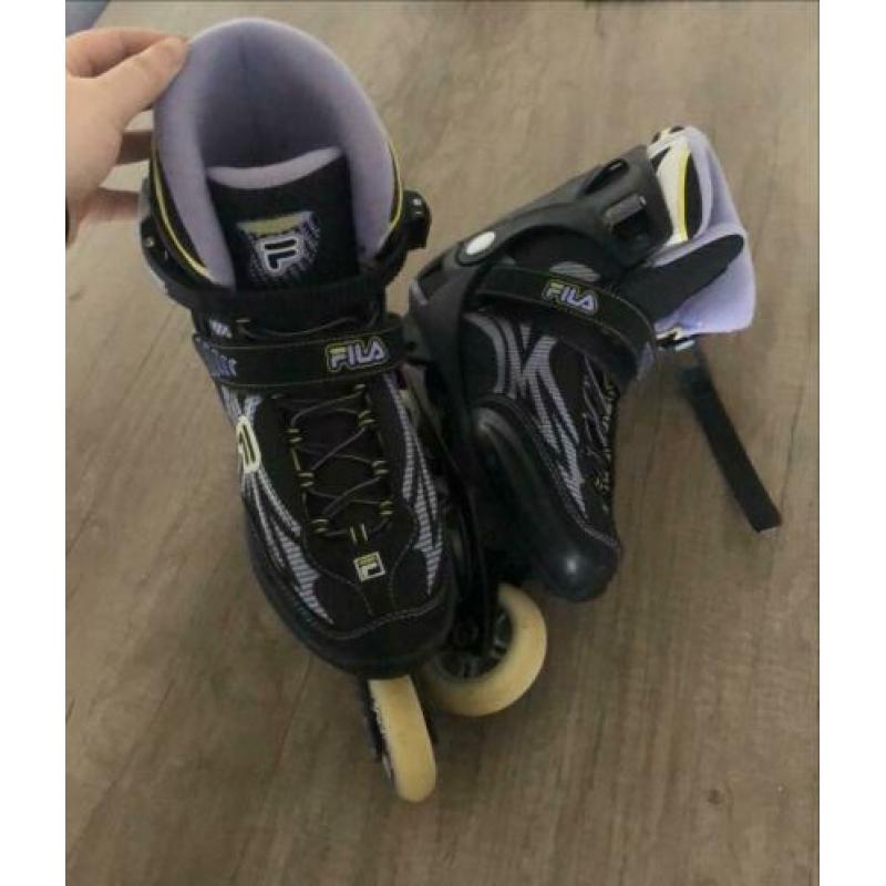 Fila skeelers/skates maat 41