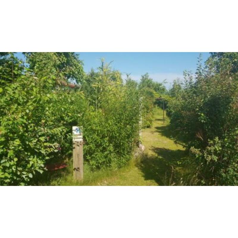 Te huur op Texel Chalet Bremakker op prachtige locatie.