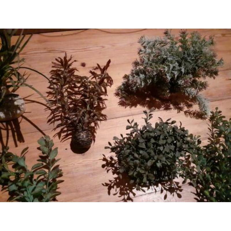 Kunst planten voor in het aquarium.