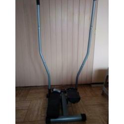 Nordic swing stepper