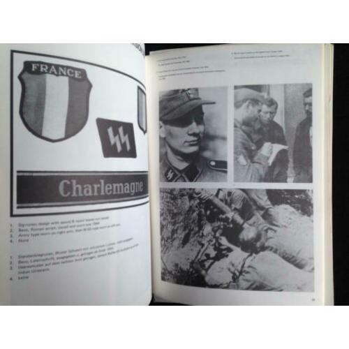 Divisions Abzeichen der Waffen SS