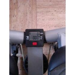 Nordic swing stepper