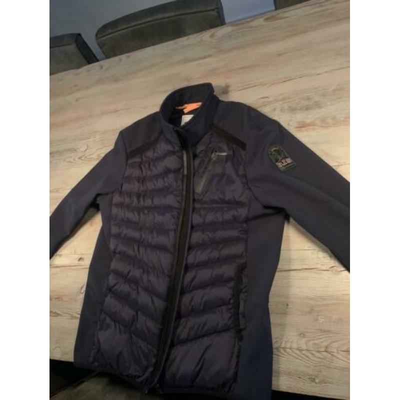 Parajumpers jas man