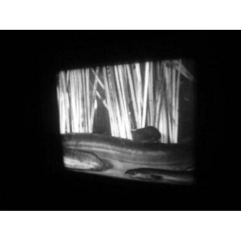 x 16mm film de Aal (glasaal) - duits doc - 12 min - zw/w