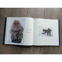 Apen in de wildernis - Ingo Arndt