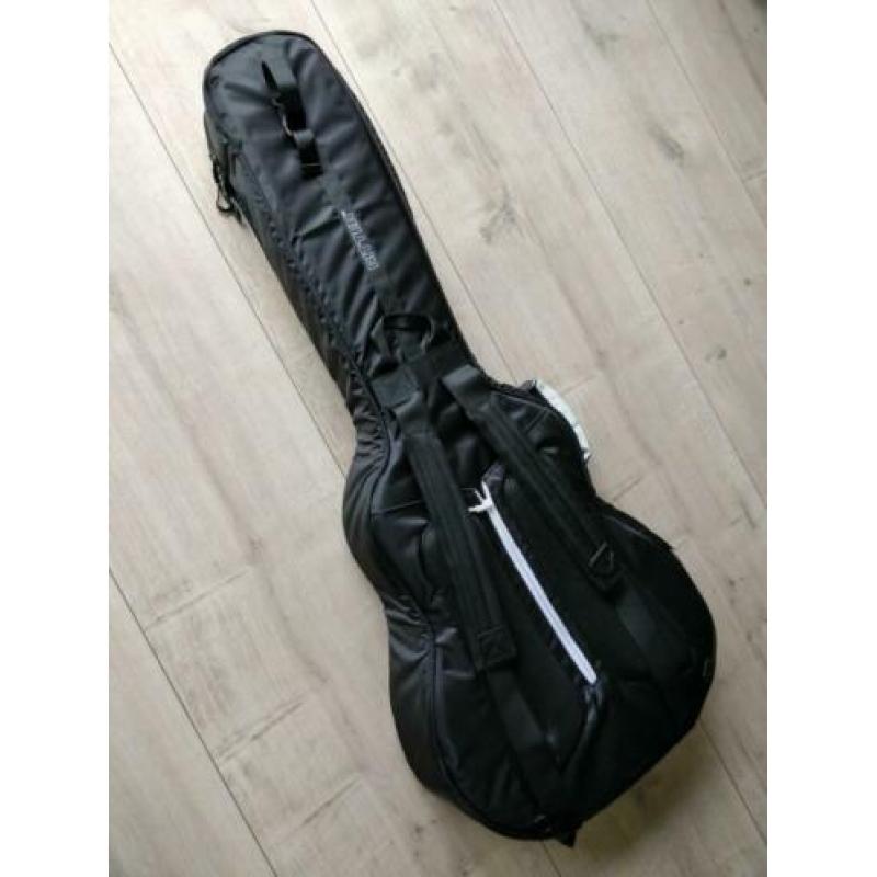 Ritter RGP8 tas voor 335/semi-hollow gitaar (ruilen kan ook)
