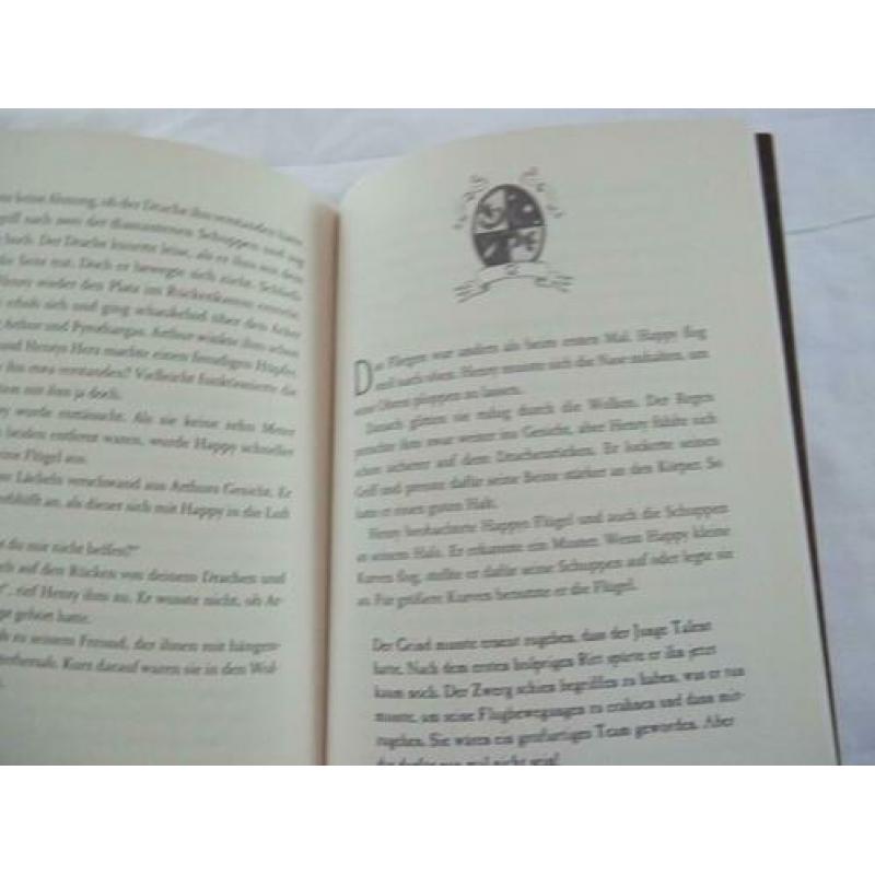 Die geheime Drachenschule (duits)
