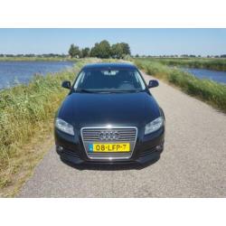 Audi A3 Sportback 1.6 TDI Attraction Pro Line Business