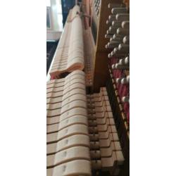 Schlögl 125 Professional Piano