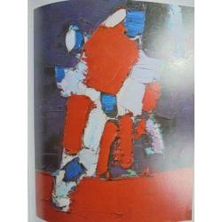 Nicolas de Stael 3 1914 - 1955 Monografie