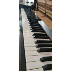 Schlögl 125 Professional Piano
