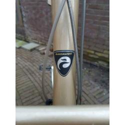 Batavus Diva
