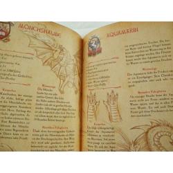 Die geheime Drachenschule (duits)