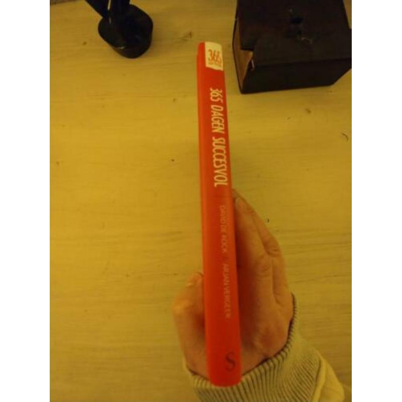 365 Dagen Succesvol, David de Kock