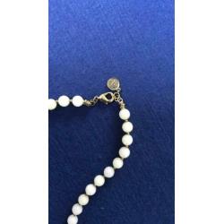 Mooie nieuwe ketting merk Exoal (eventueel met oorbellen)