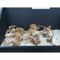 Bonsai decoratie hout