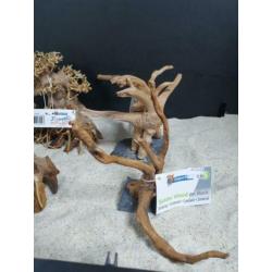 Bonsai decoratie hout